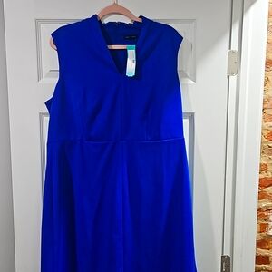 Cobalt Blue Dress